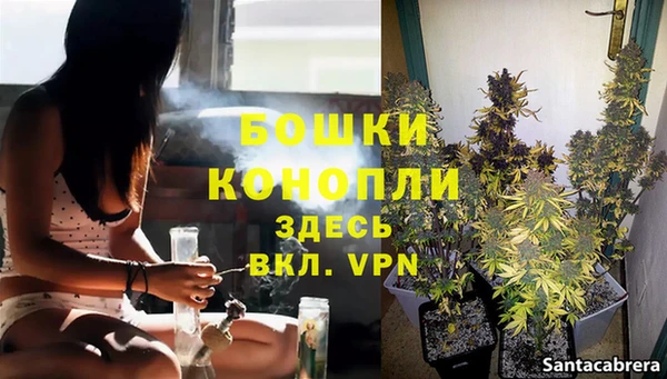 гашишное масло Богданович